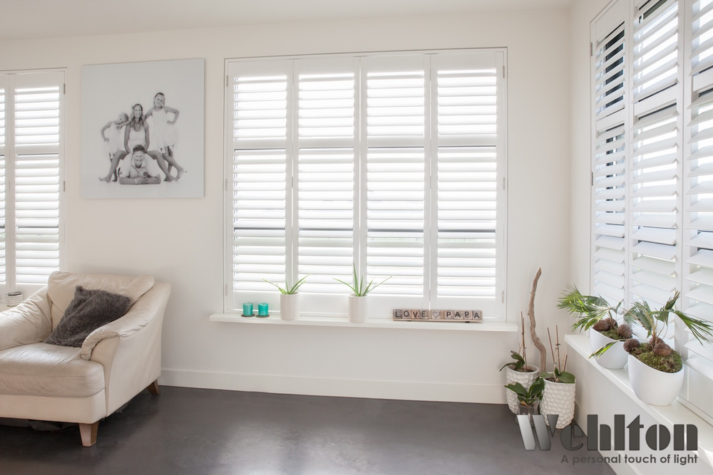 Shutters1.png
